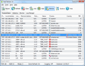 The visual 'netstat.exe' connection monitor